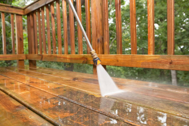Best Roof Pressure Washing  in Park Ridge, NJ
